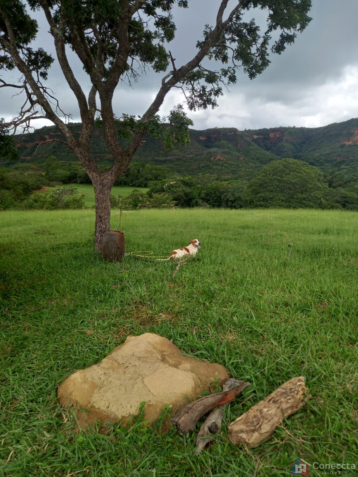 Fazenda à venda, 2040000m² - Foto 18