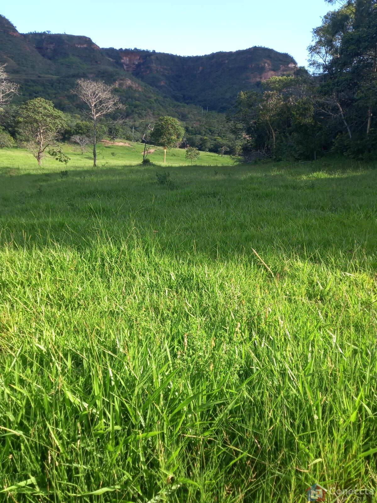 Fazenda à venda, 2040000m² - Foto 13