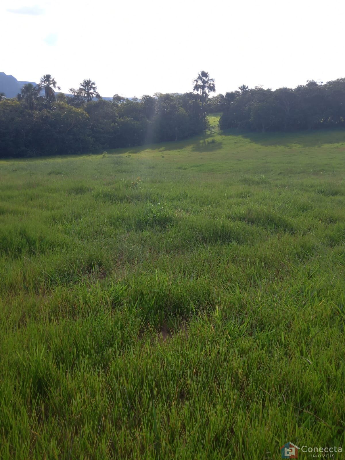 Fazenda à venda, 2040000m² - Foto 16