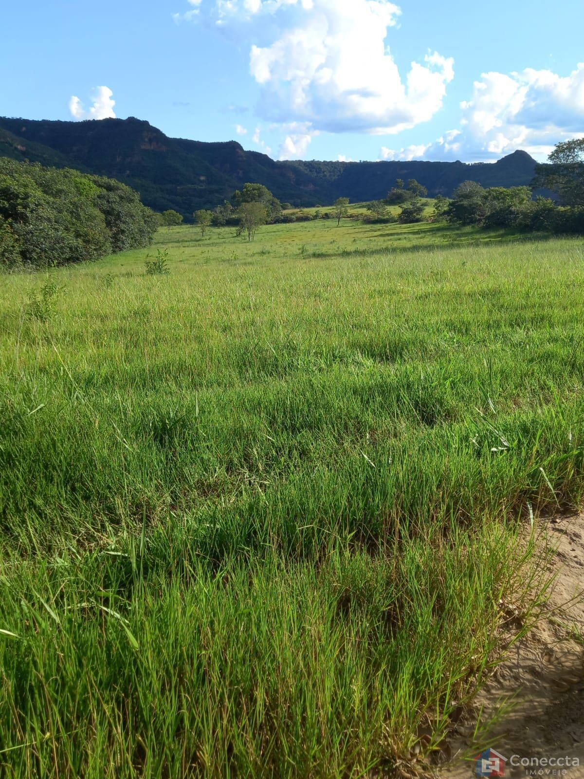 Fazenda à venda, 2040000m² - Foto 12