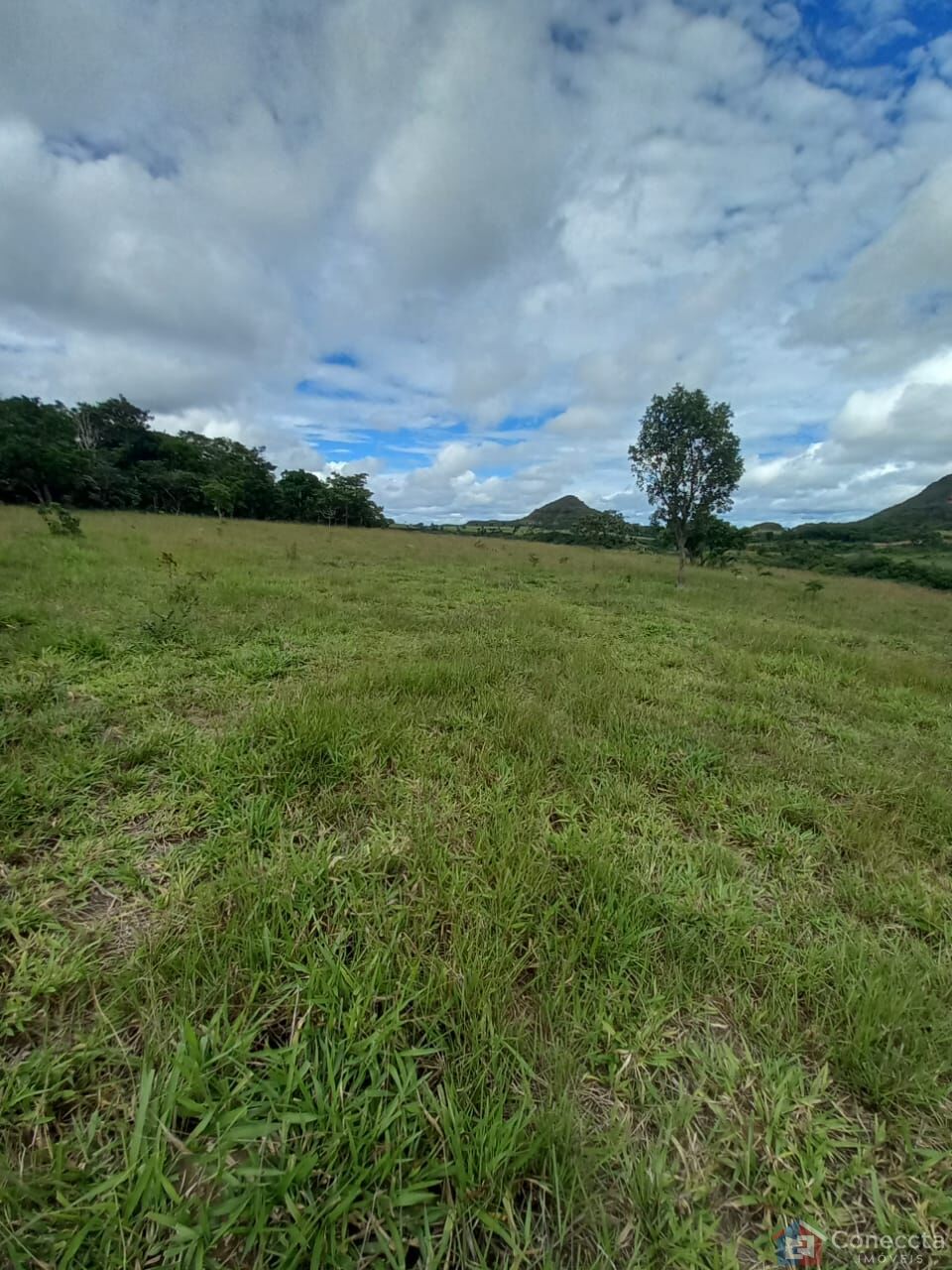 Fazenda à venda, 2040000m² - Foto 5