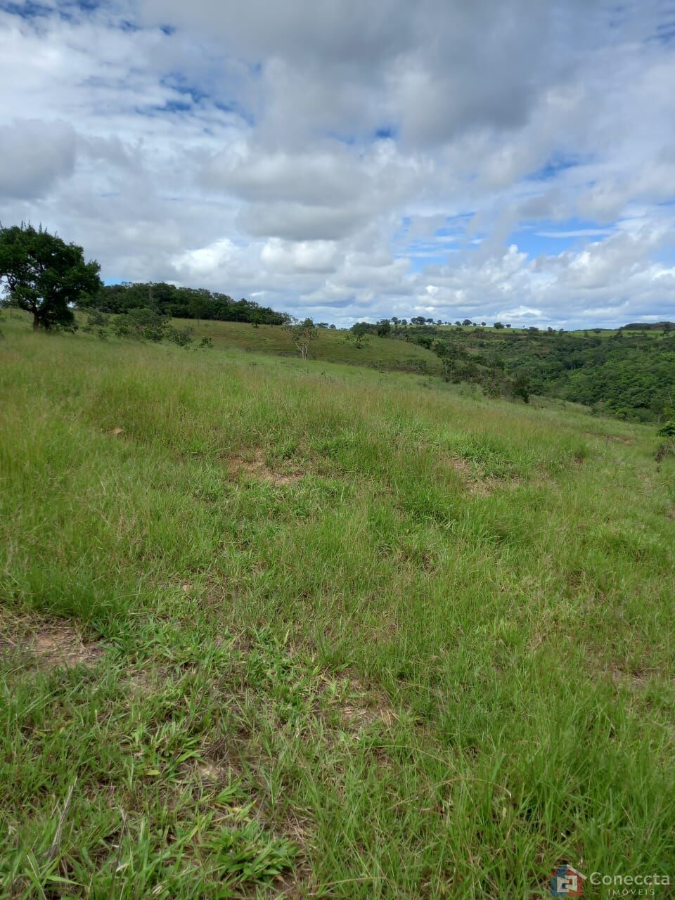 Fazenda à venda, 2040000m² - Foto 4