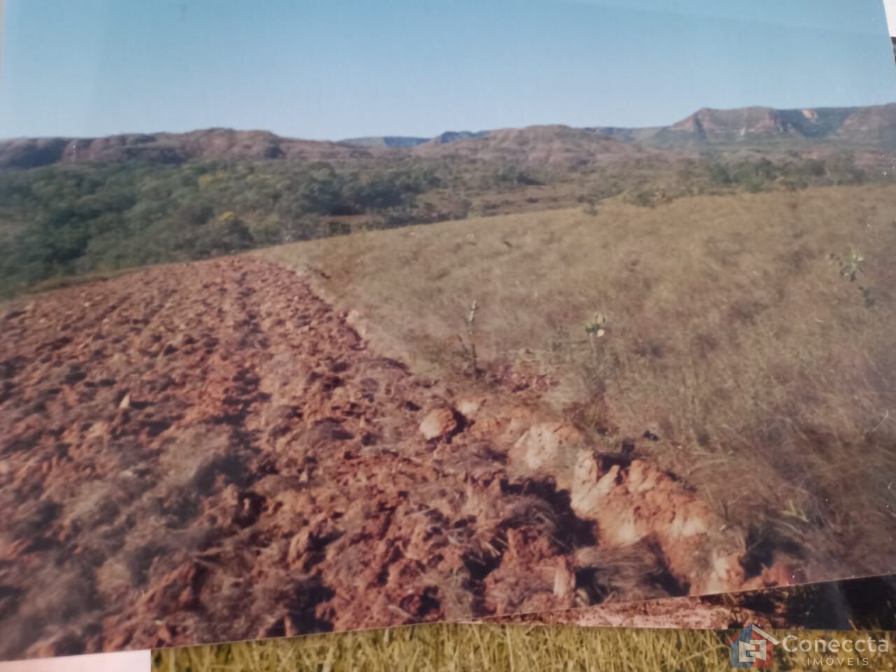 Fazenda à venda, 2040000m² - Foto 7