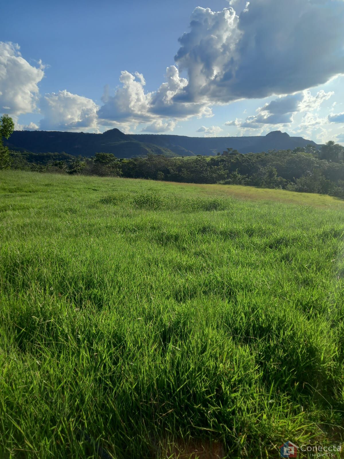 Fazenda à venda, 2040000m² - Foto 3