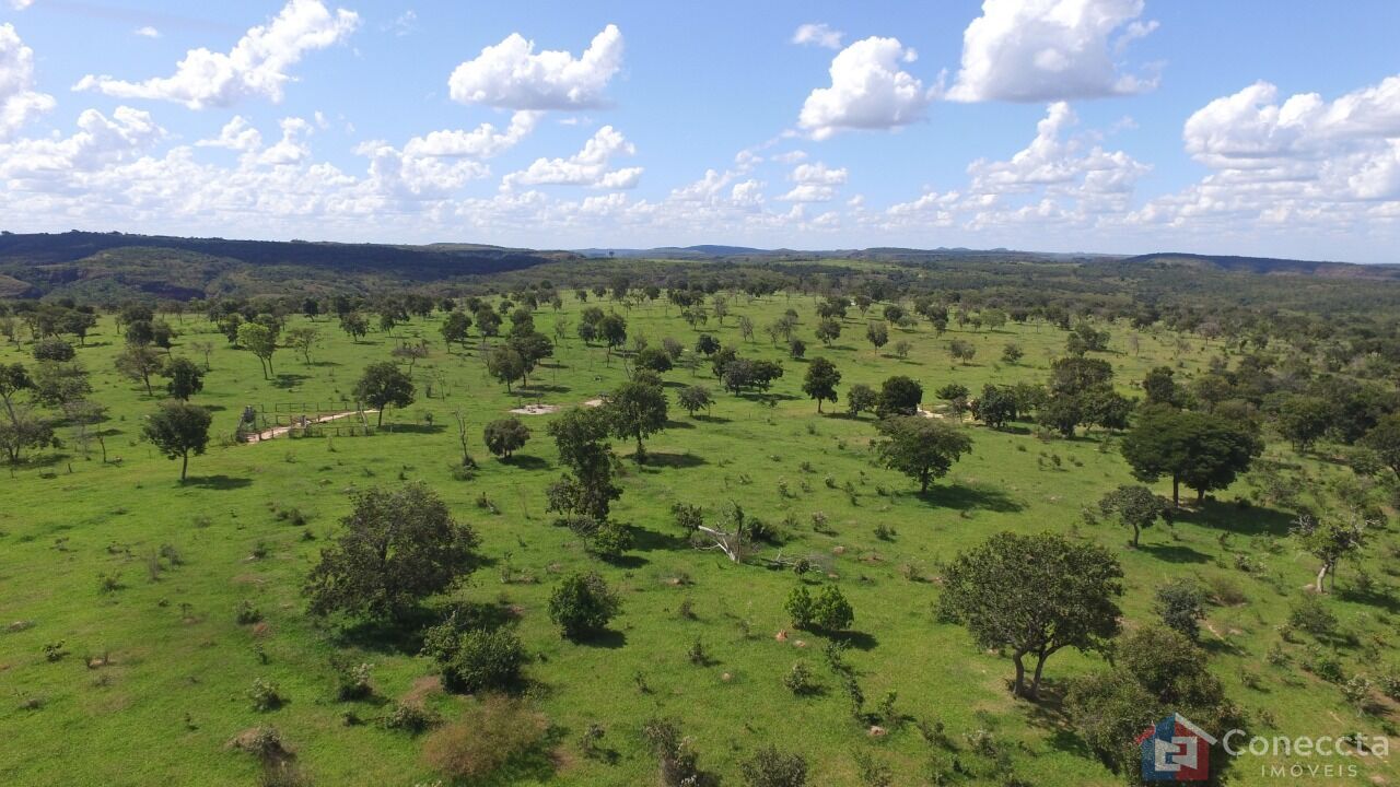 Fazenda à venda, 2040000m² - Foto 1