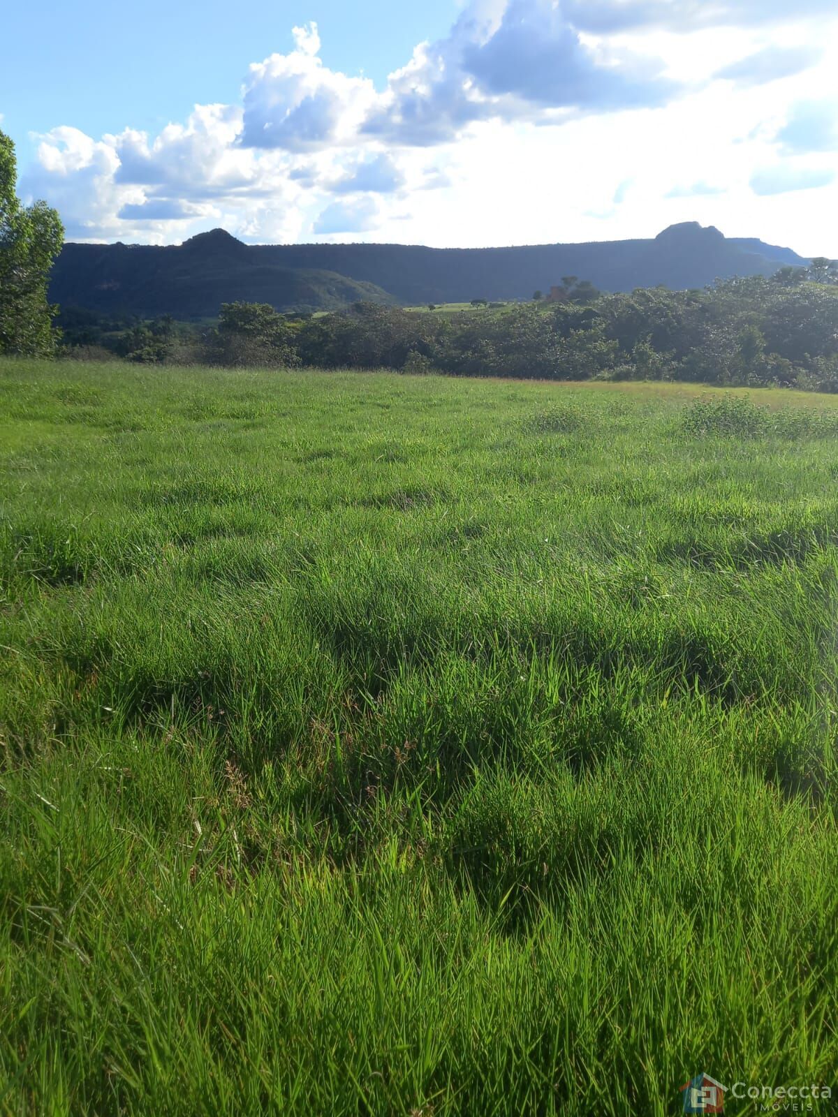 Fazenda à venda, 2040000m² - Foto 15