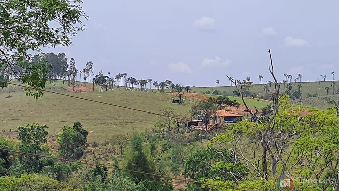 Fazenda, 51 hectares - Foto 40