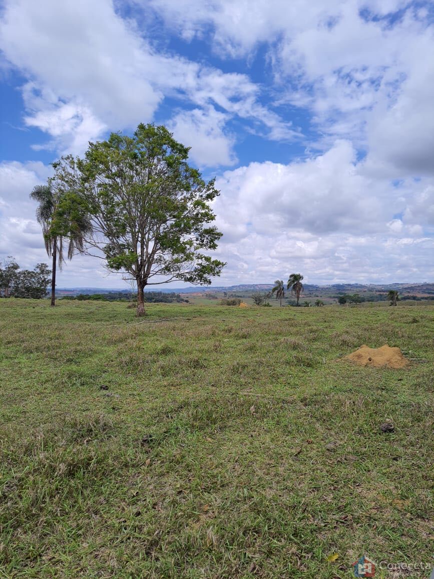 Fazenda, 51 hectares - Foto 22