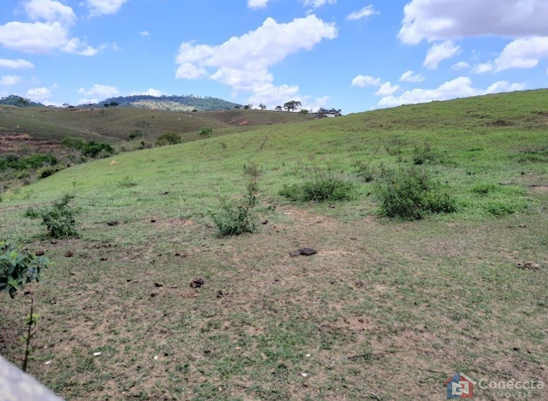 Fazenda, 51 hectares - Foto 38