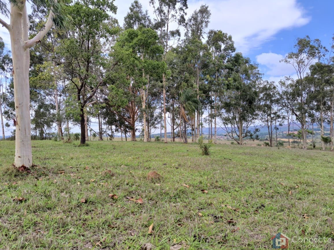 Fazenda, 51 hectares - Foto 24