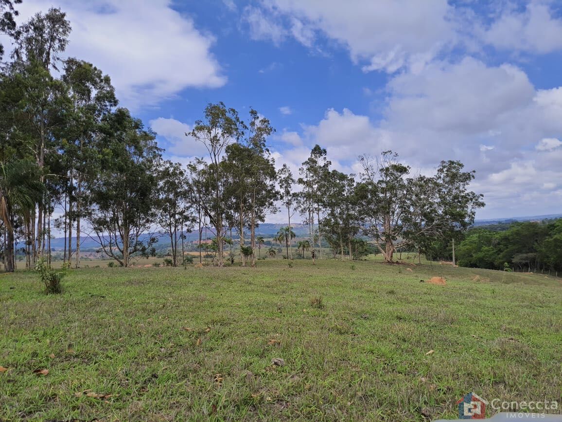 Fazenda, 51 hectares - Foto 26