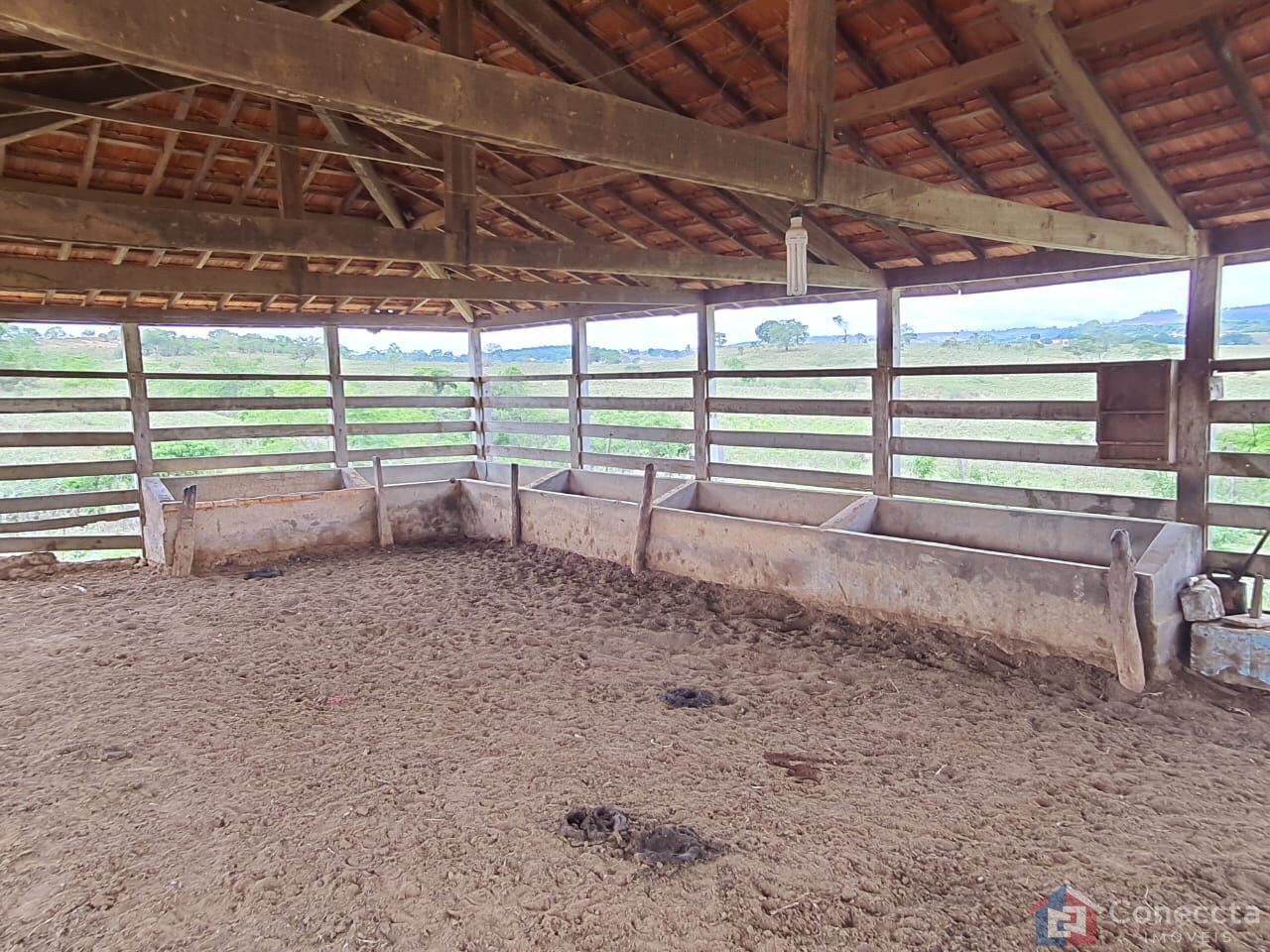 Fazenda, 51 hectares - Foto 8