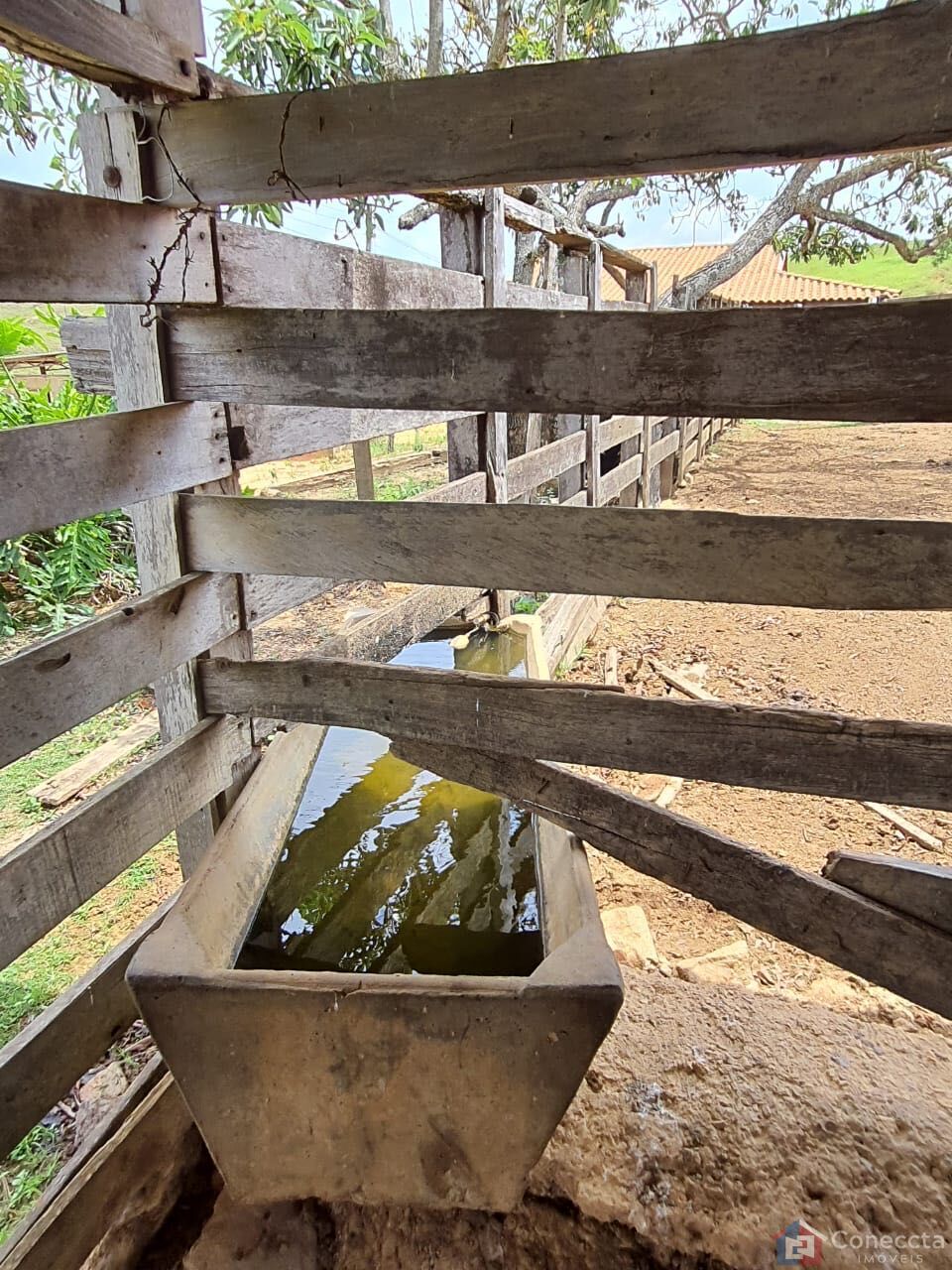 Fazenda, 51 hectares - Foto 19