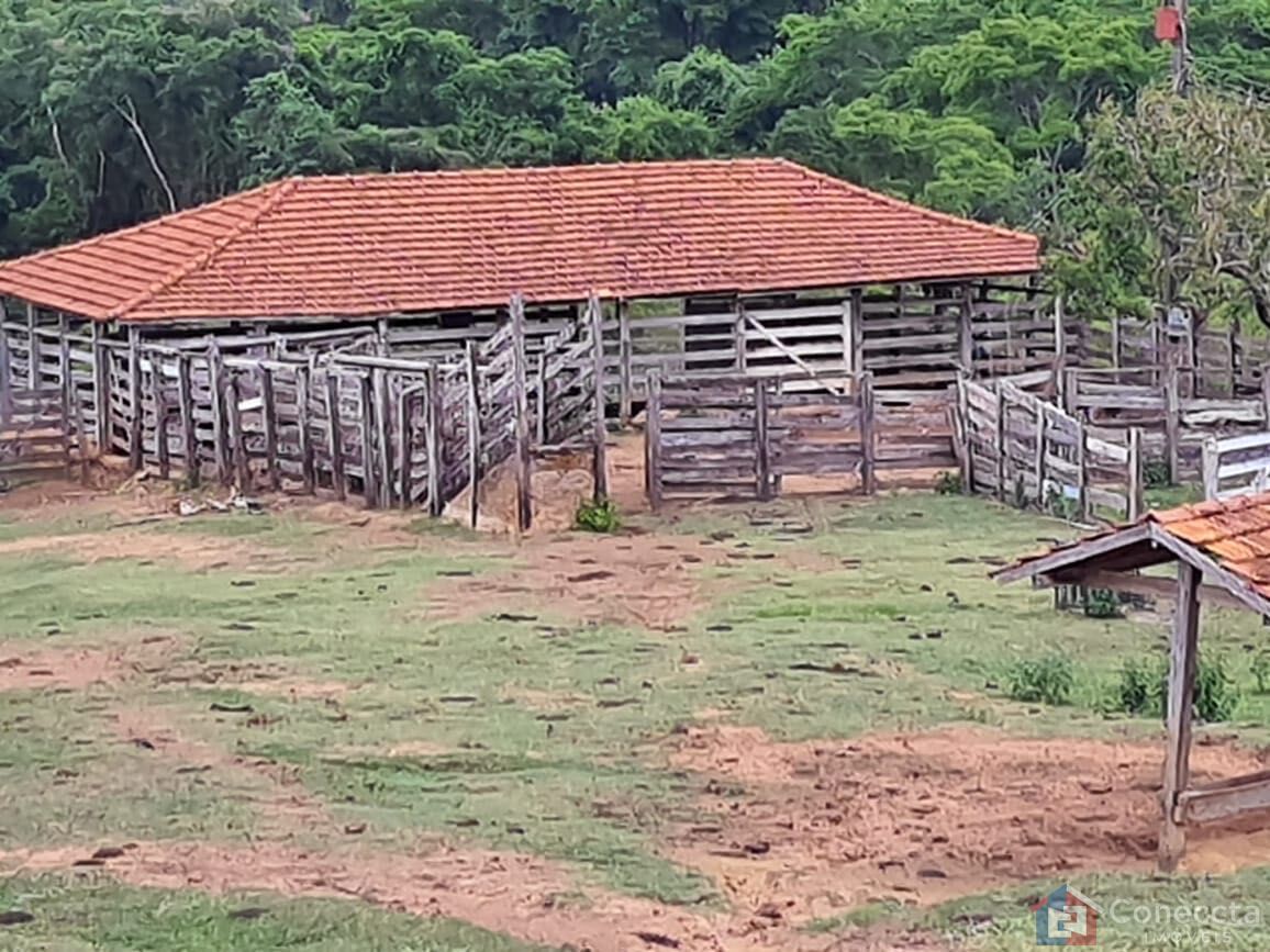 Fazenda, 51 hectares - Foto 10