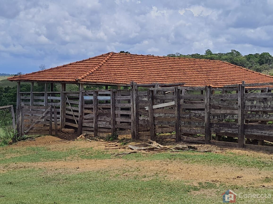 Fazenda, 51 hectares - Foto 34