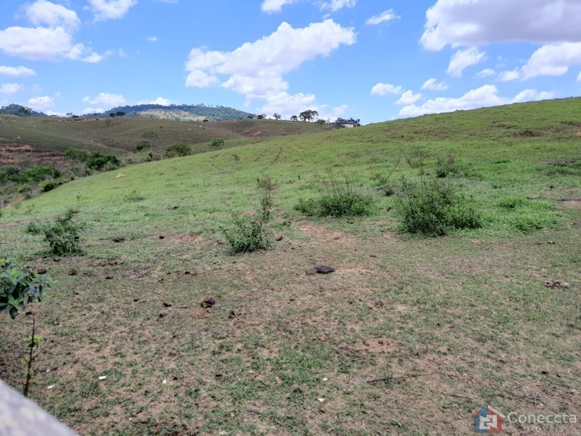 Fazenda, 51 hectares - Foto 29