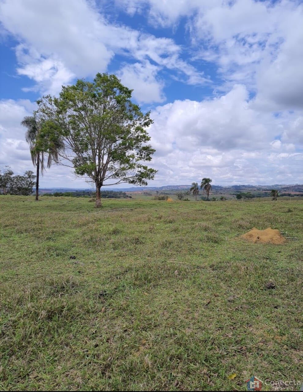 Fazenda, 51 hectares - Foto 39