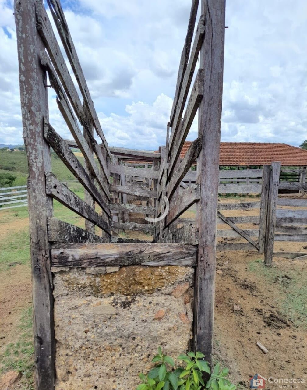 Fazenda, 51 hectares - Foto 36