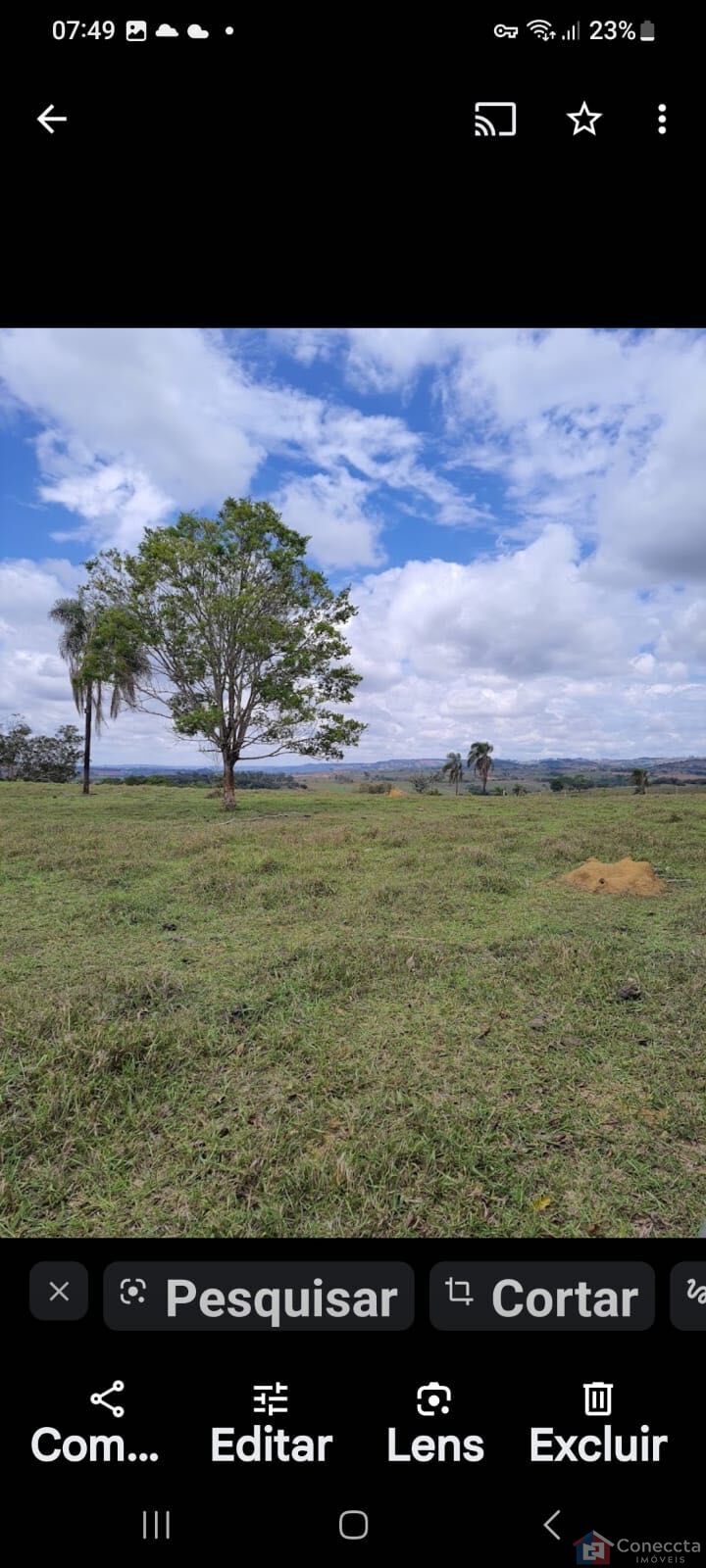 Fazenda, 51 hectares - Foto 45