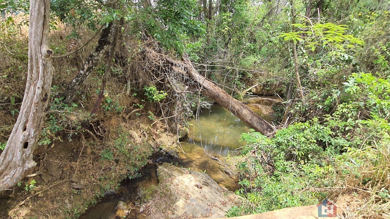 Fazenda, 51 hectares - Foto 41