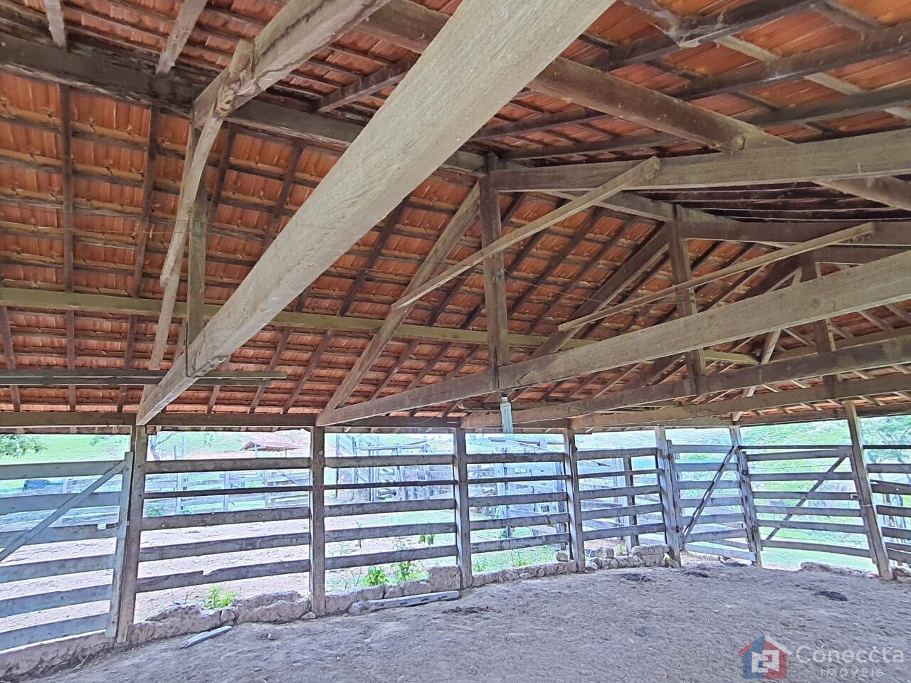 Fazenda, 51 hectares - Foto 13