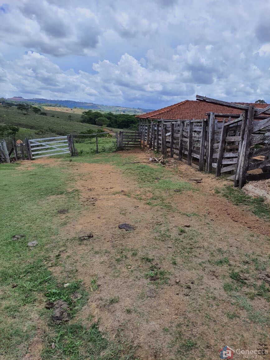 Fazenda, 51 hectares - Foto 33