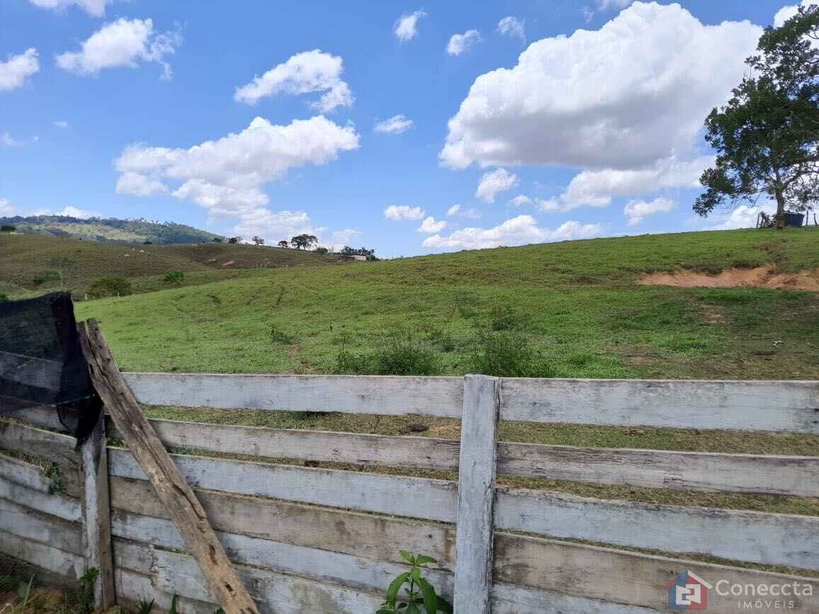 Fazenda, 51 hectares - Foto 14