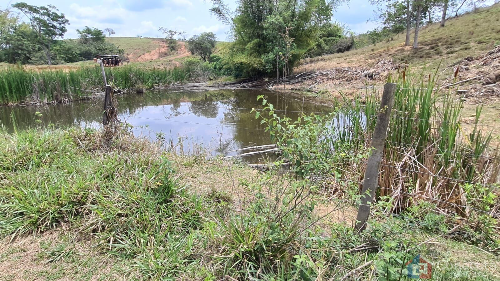 Fazenda, 51 hectares - Foto 32