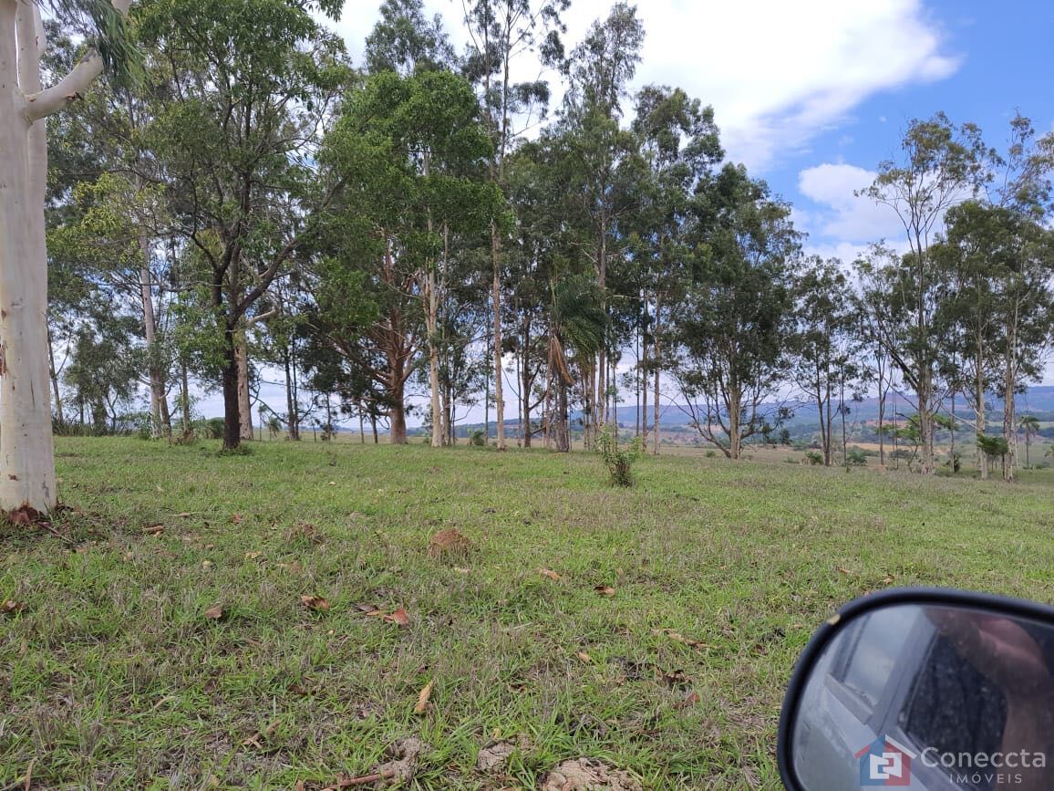 Fazenda, 51 hectares - Foto 23