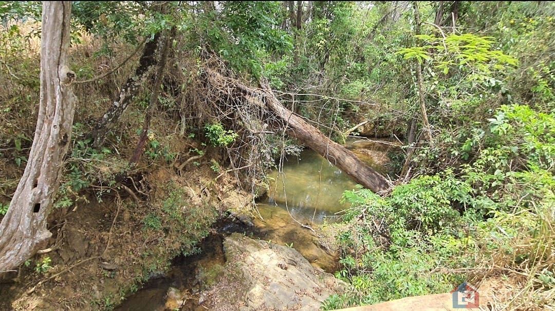 Fazenda, 51 hectares - Foto 44