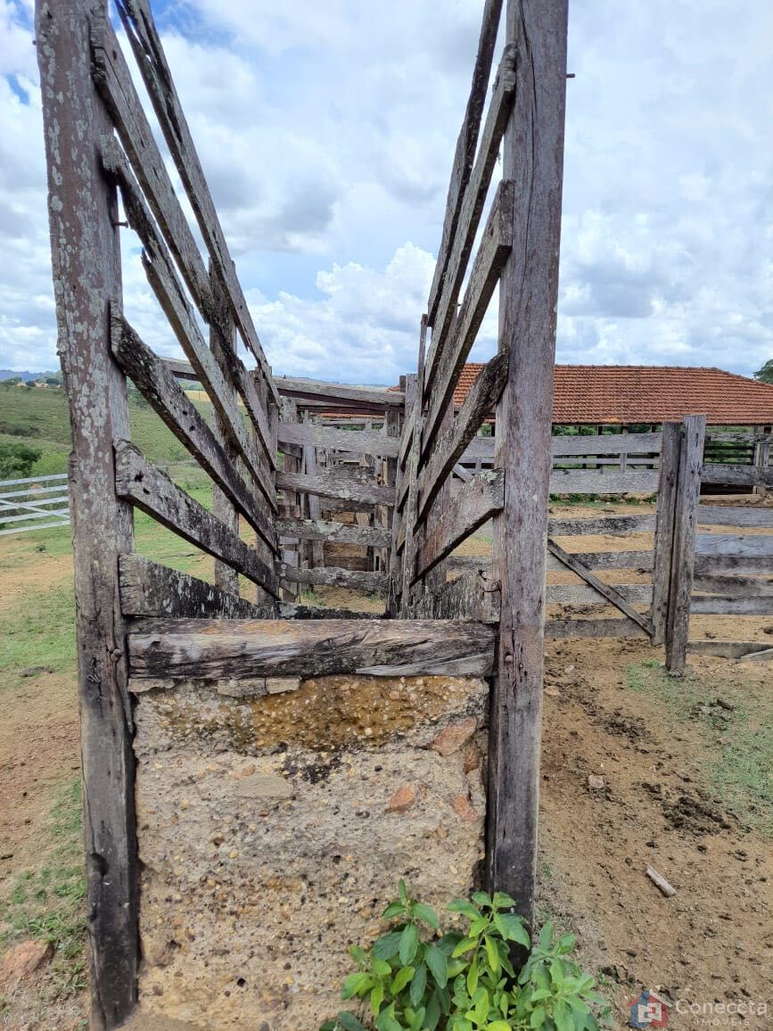 Fazenda, 51 hectares - Foto 30