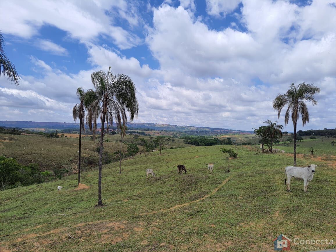 Fazenda, 51 hectares - Foto 27
