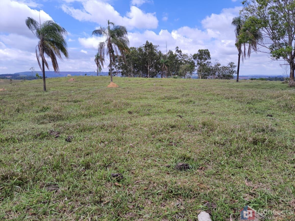 Fazenda, 51 hectares - Foto 21