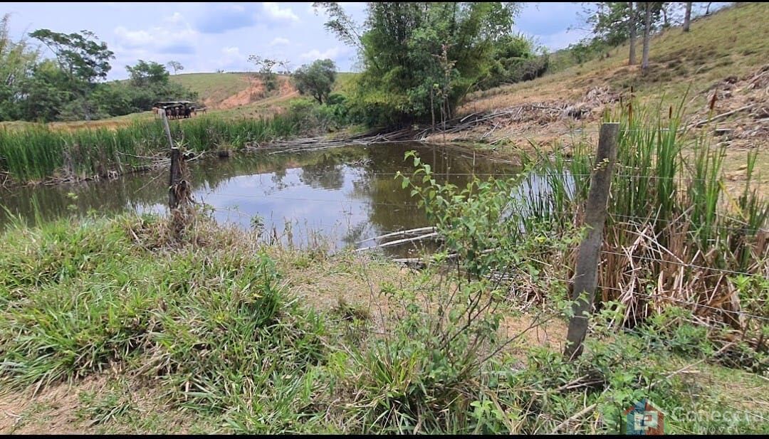 Fazenda, 51 hectares - Foto 31