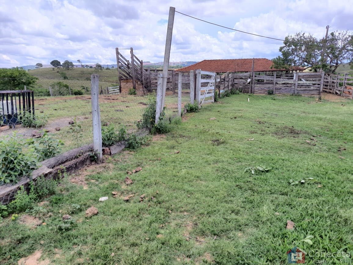 Fazenda, 51 hectares - Foto 18
