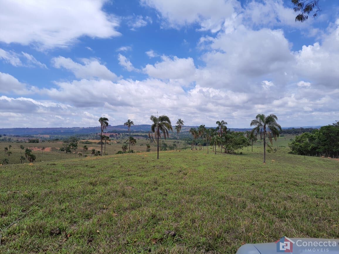 Fazenda, 51 hectares - Foto 25