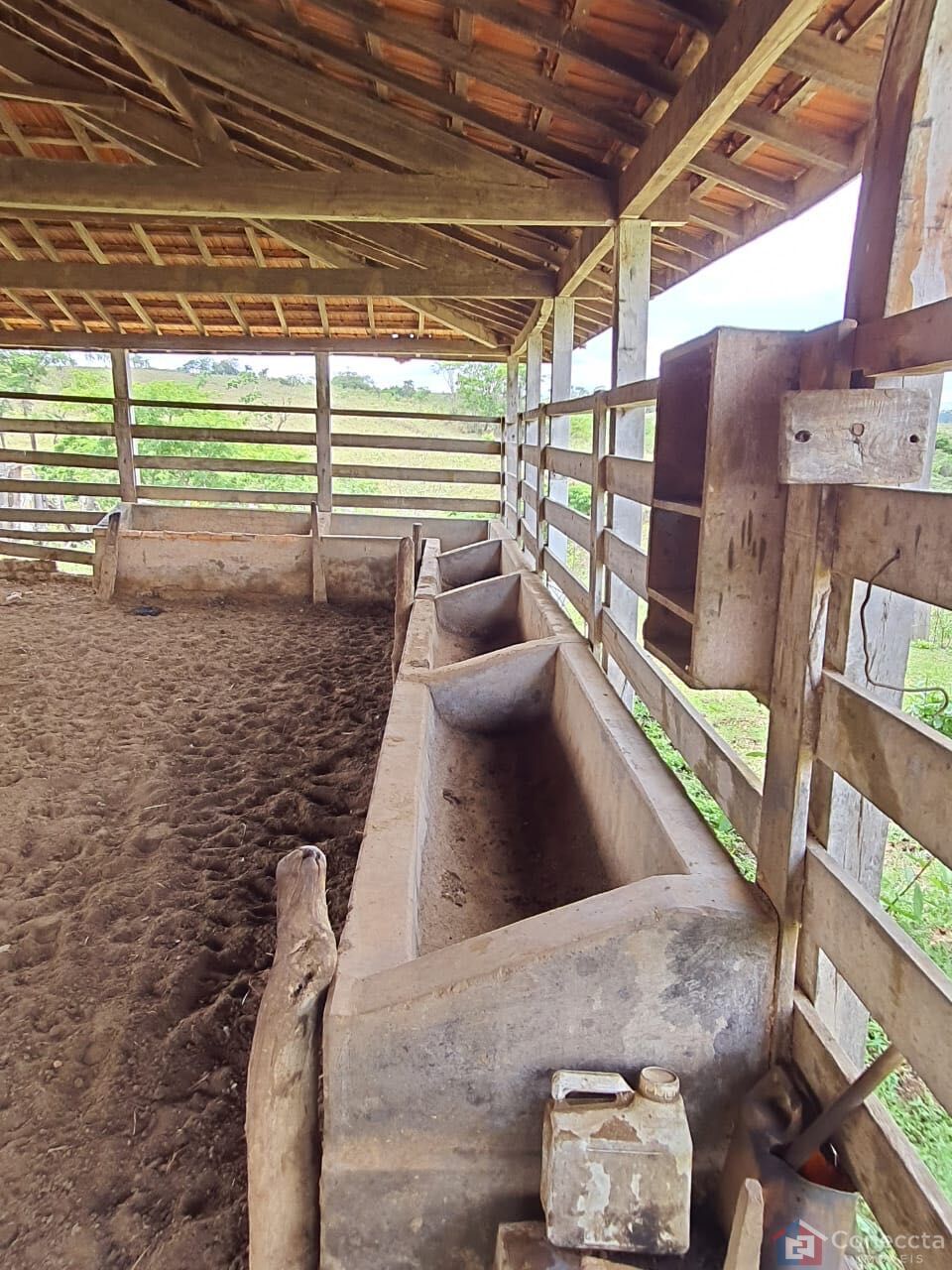 Fazenda, 51 hectares - Foto 12