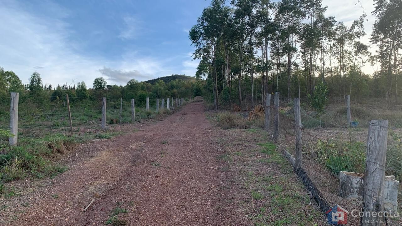 Sítio, 3 quartos, 12 hectares - Foto 6