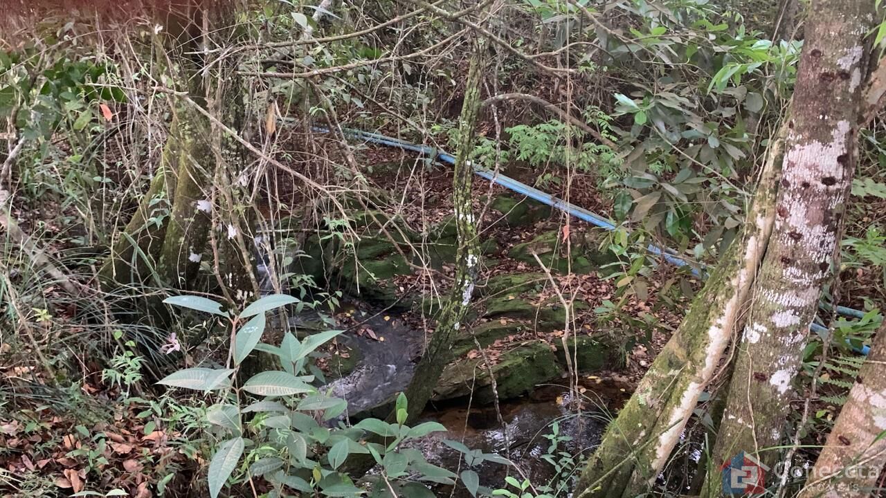 Sítio, 3 quartos, 12 hectares - Foto 14