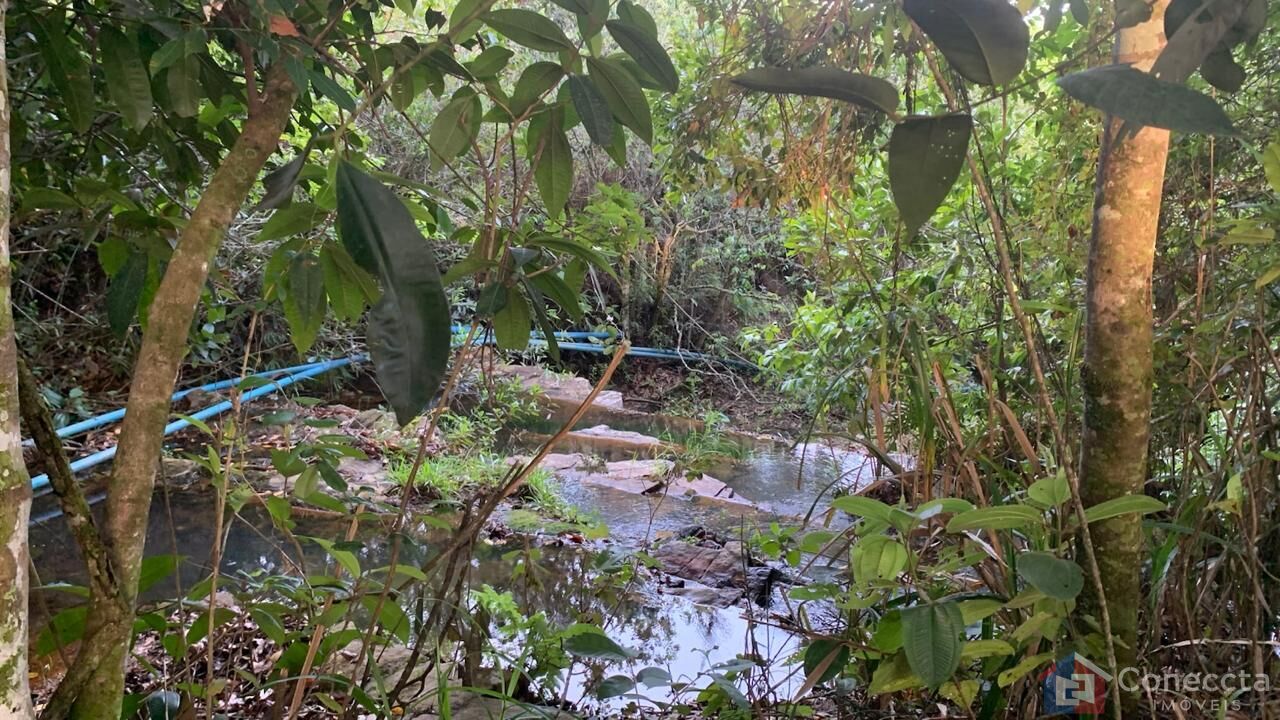 Sítio, 3 quartos, 12 hectares - Foto 1