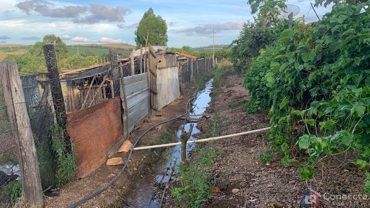 Sítio, 3 quartos, 12 hectares - Foto 9