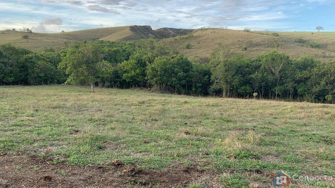 Sítio, 3 quartos, 12 hectares - Foto 3