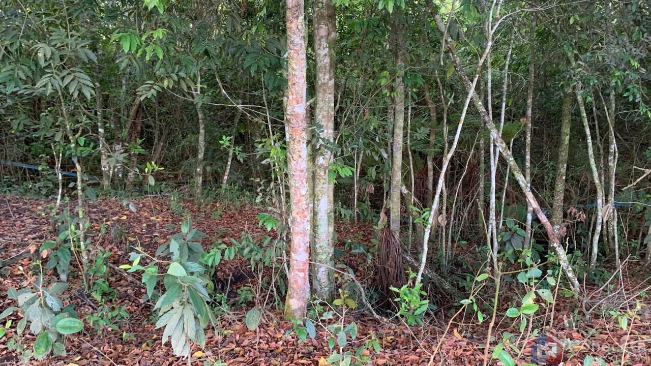 Sítio, 3 quartos, 12 hectares - Foto 5