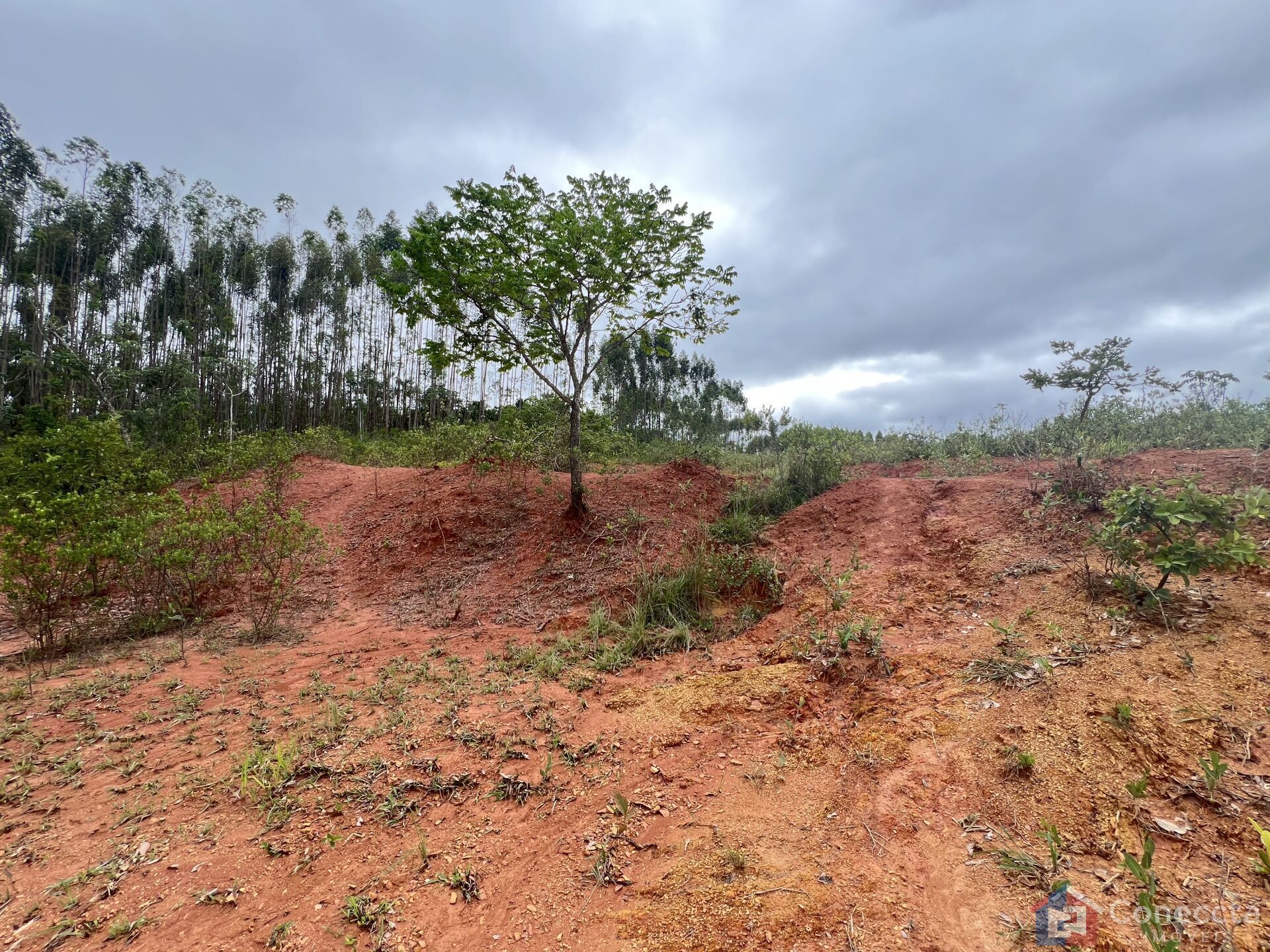 Sítio, 9 hectares - Foto 4