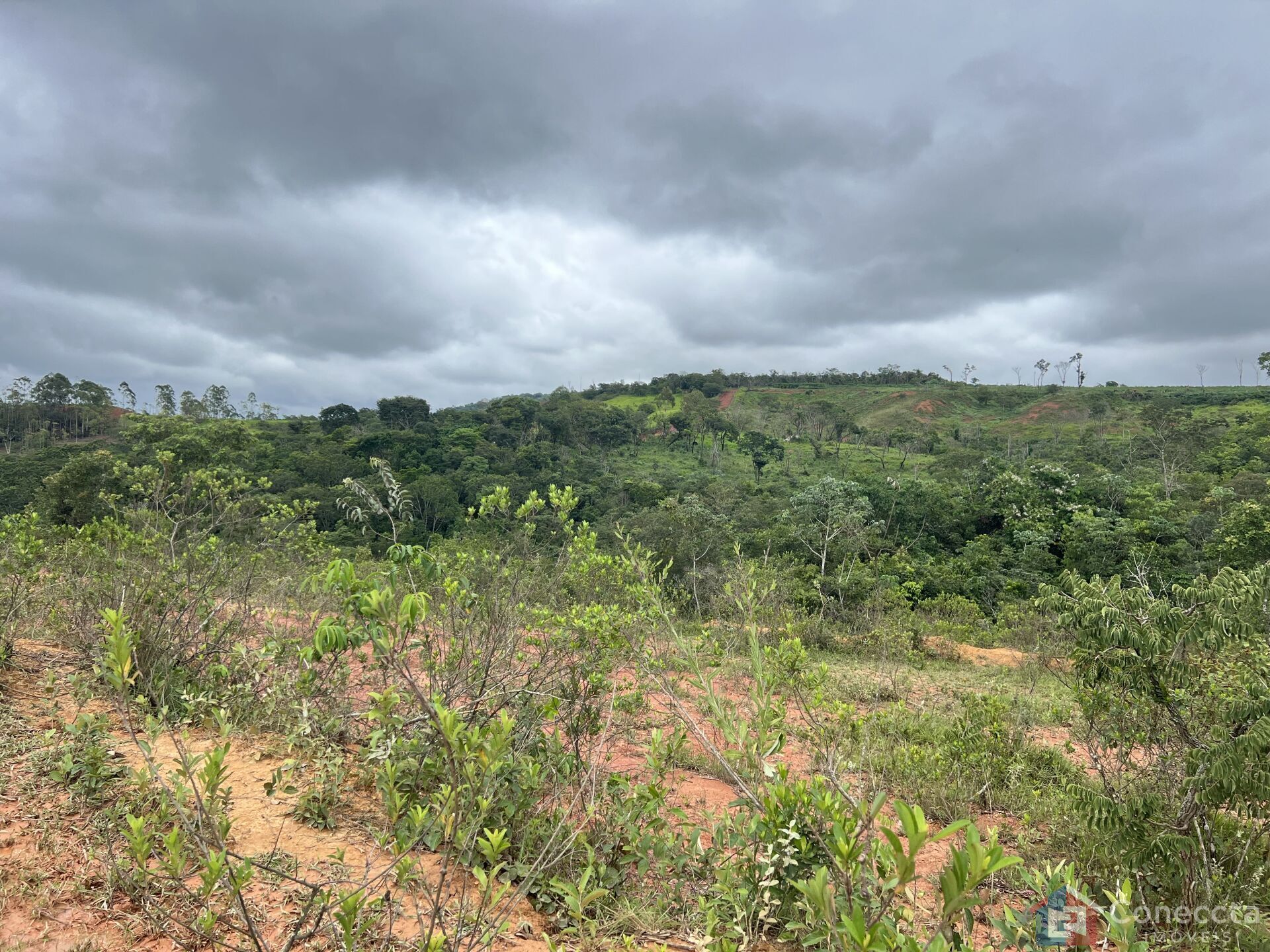 Sítio, 9 hectares - Foto 2