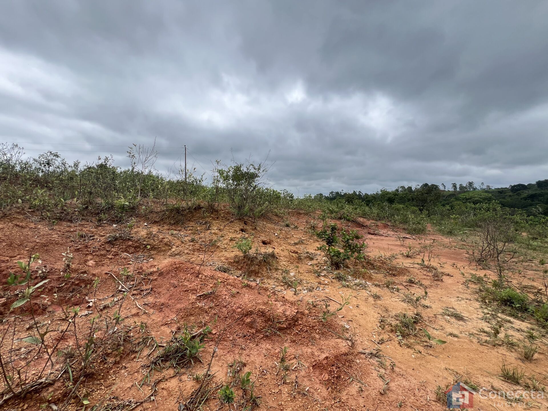 Sítio, 9 hectares - Foto 3