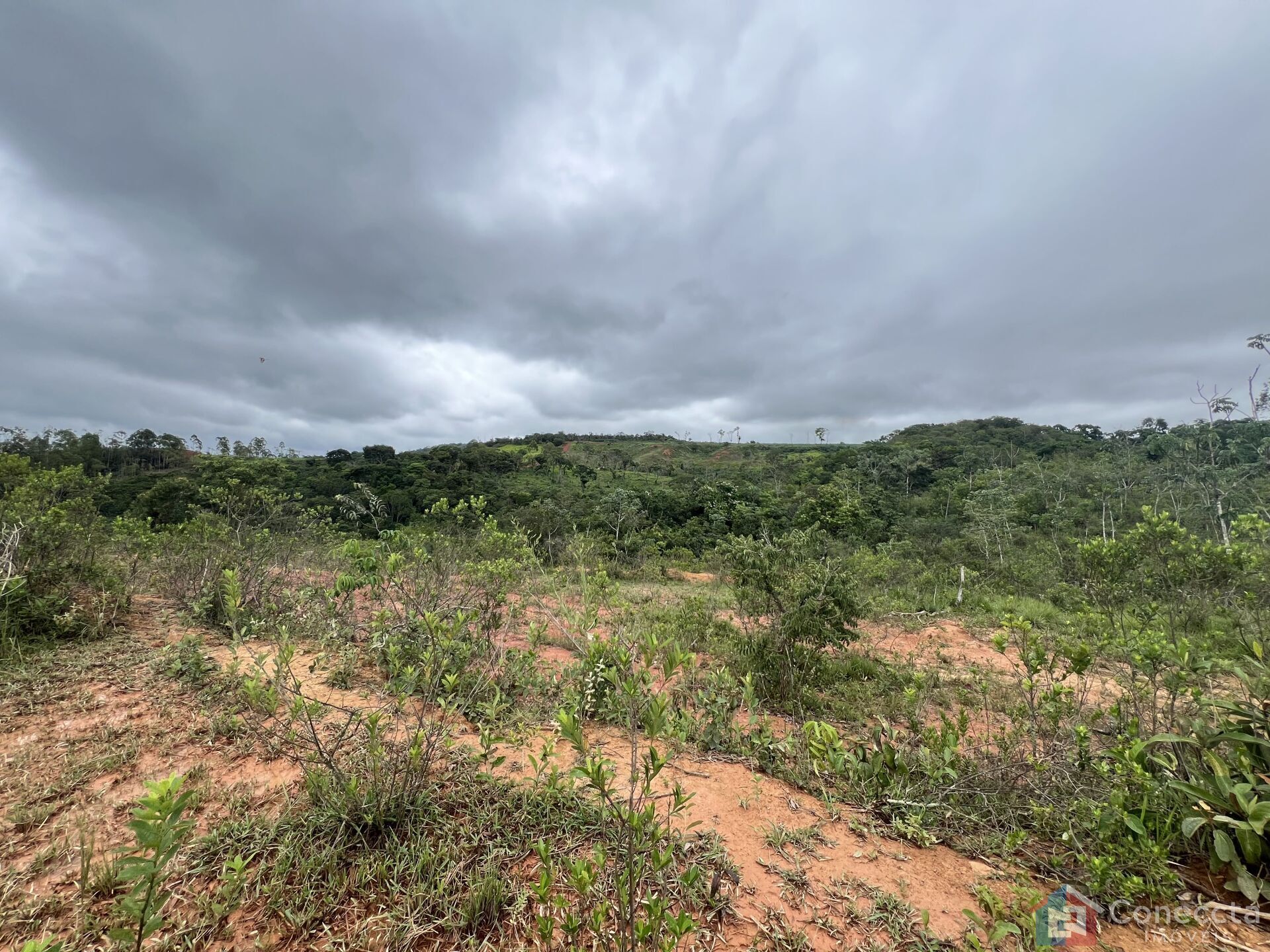 Sítio, 9 hectares - Foto 1