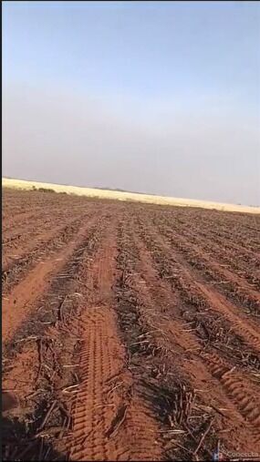 Fazenda à venda, 730000m² - Foto 8