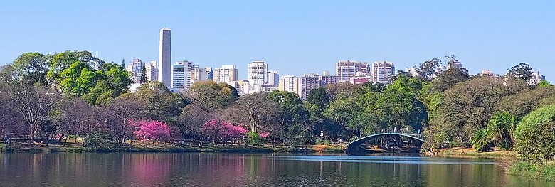 Katia Adriano - Consultora de Negócios