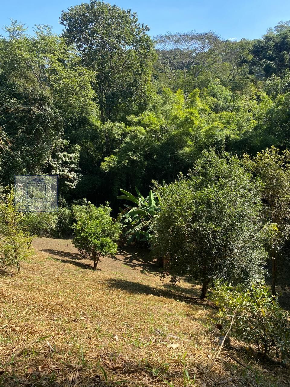 Fazenda à venda com 5 quartos, 35000m² - Foto 16